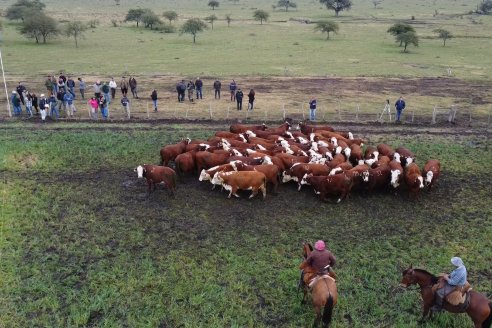 Dia a Campo Estancia Buena Esperanza - Los Conquistadores, E.Ríos - Remate 6 de Julio 2023