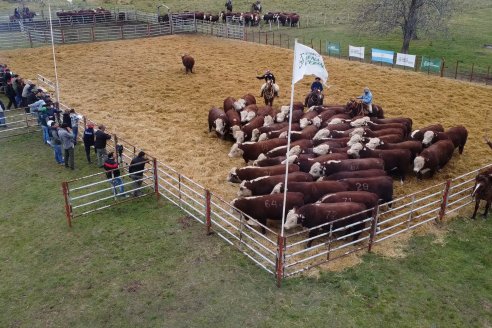 Dia a Campo Estancia Buena Esperanza - Los Conquistadores, E.Ríos - Remate 6 de Julio 2023