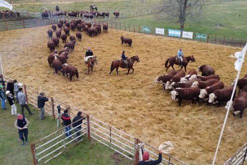 Dia a Campo Estancia Buena Esperanza - Los Conquistadores, E.Ríos - Remate 6 de Julio 2023