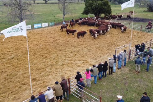 Dia a Campo Estancia Buena Esperanza - Los Conquistadores, E.Ríos - Remate 6 de Julio 2023