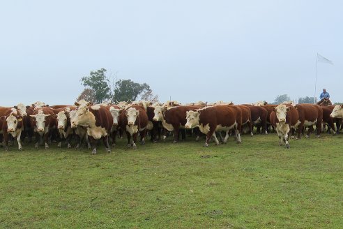 Dia a Campo Estancia Buena Esperanza - Los Conquistadores, E.Ríos - Remate 6 de Julio 2023