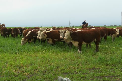 Dia a Campo Estancia Buena Esperanza - Los Conquistadores, E.Ríos - Remate 6 de Julio 2023