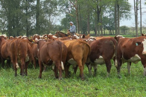 Dia a Campo Estancia Buena Esperanza - Los Conquistadores, E.Ríos - Remate 6 de Julio 2023