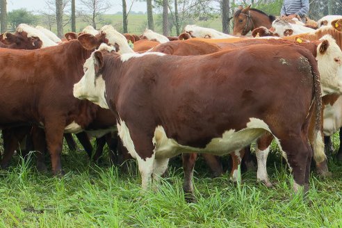 Dia a Campo Estancia Buena Esperanza - Los Conquistadores, E.Ríos - Remate 6 de Julio 2023