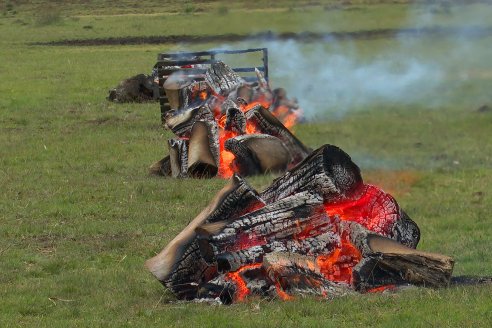 Dia a Campo Estancia Buena Esperanza - Los Conquistadores, E.Ríos - Remate 6 de Julio 2023