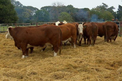 Dia a Campo Estancia Buena Esperanza - Los Conquistadores, E.Ríos - Remate 6 de Julio 2023