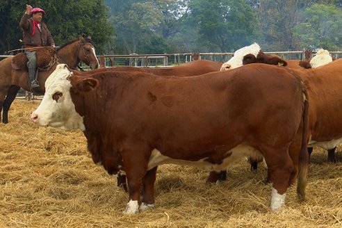 Dia a Campo Estancia Buena Esperanza - Los Conquistadores, E.Ríos - Remate 6 de Julio 2023