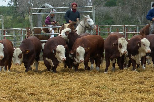 Dia a Campo Estancia Buena Esperanza - Los Conquistadores, E.Ríos - Remate 6 de Julio 2023