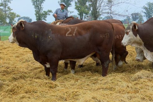 Dia a Campo Estancia Buena Esperanza - Los Conquistadores, E.Ríos - Remate 6 de Julio 2023