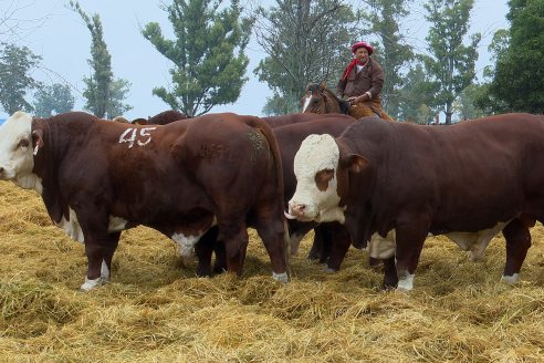 Dia a Campo Estancia Buena Esperanza - Los Conquistadores, E.Ríos - Remate 6 de Julio 2023