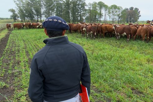 Retroactivo a julio, trabajadores rurales cobrarán suba del 26%