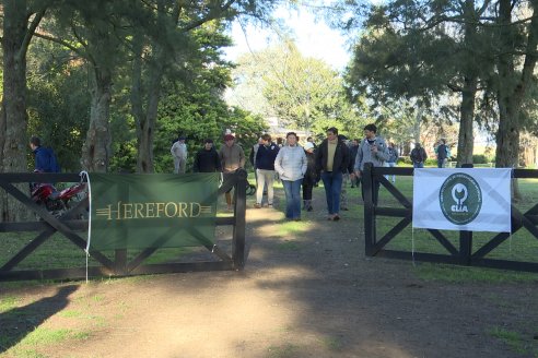 Gira Hereford Mesopotámica 2023 - Visita a Establecimiento Don Napoleon - Larroque, E.Rios