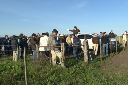 Gira Hereford Mesopotámica 2023 - Visita a Establecimiento Don Napoleon - Larroque, E.Rios