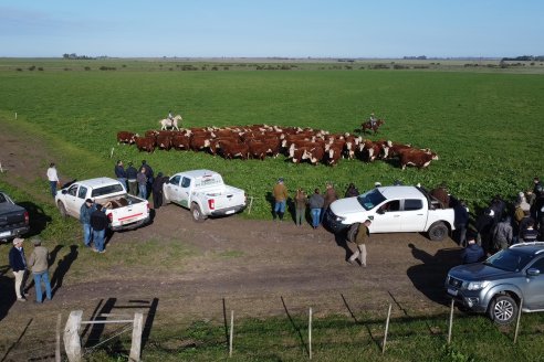 Gira Hereford Mesopotámica 2023 - Visita a Establecimiento Don Napoleon - Larroque, E.Rios