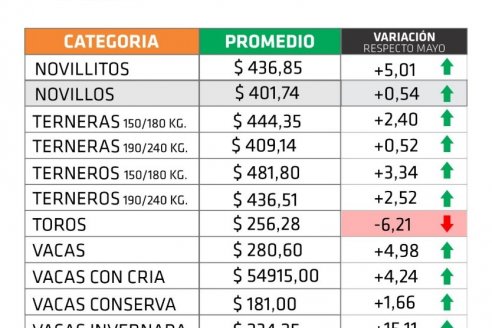 Precios estancados y bajas pronunciadas en vaquillonas y toros