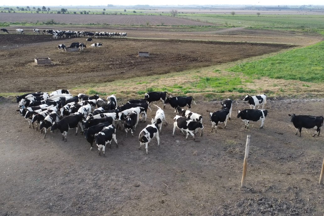 Mastellone Hnos. destaca el rol estratégico de los productores y tamberos