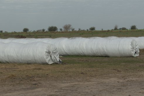 Visita al tambo robotico de los Hermanos Kemerer - Aldea San Rafael, Entre Rios