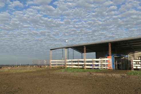 Visita al tambo robotico de los Hermanos Kemerer - Aldea San Rafael, Entre Rios