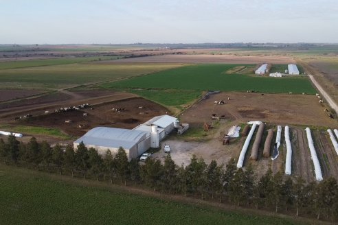 Visita al tambo robotico de los Hermanos Kemerer - Aldea San Rafael, Entre Rios