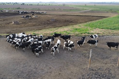 Visita al tambo robotico de los Hermanos Kemerer - Aldea San Rafael, Entre Rios