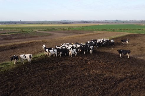 Visita al tambo robotico de los Hermanos Kemerer - Aldea San Rafael, Entre Rios