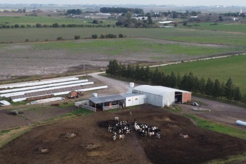 Visita al tambo robotico de los Hermanos Kemerer - Aldea San Rafael, Entre Rios