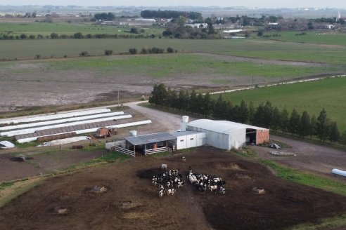 Visita al tambo robotico de los Hermanos Kemerer - Aldea San Rafael, Entre Rios