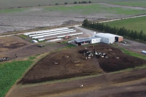 Visita al tambo robotico de los Hermanos Kemerer - Aldea San Rafael, Entre Rios