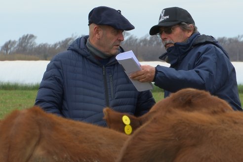 Dia de Campo Cabaña Bajo Fértil con genética L´Arachide - 3° Remate Anual Angus de Los Colorados del Centro