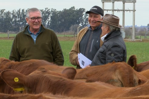 Dia de Campo Cabaña Bajo Fértil con genética L´Arachide - 3° Remate Anual Angus de Los Colorados del Centro