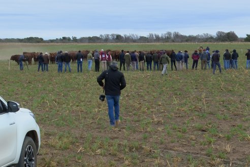 Dia de Campo Cabaña Bajo Fértil con genética L´Arachide - 3° Remate Anual Angus de Los Colorados del Centro