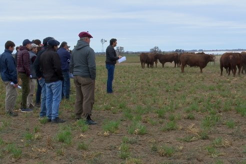 Dia de Campo Cabaña Bajo Fértil con genética L´Arachide - 3° Remate Anual Angus de Los Colorados del Centro