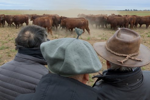 Dia de Campo Cabaña Bajo Fértil con genética L´Arachide - 3° Remate Anual Angus de Los Colorados del Centro