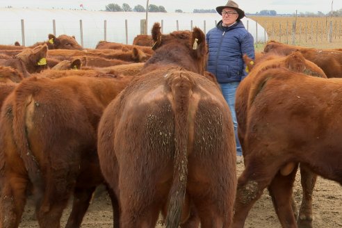 Dia de Campo Cabaña Bajo Fértil con genética L´Arachide - 3° Remate Anual Angus de Los Colorados del Centro