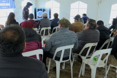 Dia de Campo Cabaña Bajo Fértil con genética L´Arachide - 3° Remate Anual Angus de Los Colorados del Centro