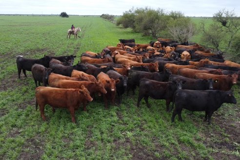 Día de Campo Estancia Don Pastor - Lucas Norte, Entre Ríos - Previa del Remate del 4 de Agosto 2023