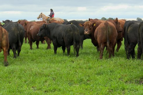 Día de Campo Estancia Don Pastor - Lucas Norte, Entre Ríos - Previa del Remate del 4 de Agosto 2023