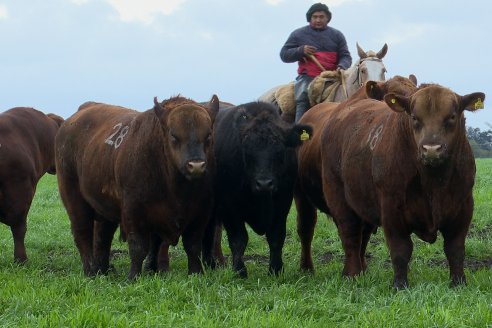 Día de Campo Estancia Don Pastor - Lucas Norte, Entre Ríos - Previa del Remate del 4 de Agosto 2023