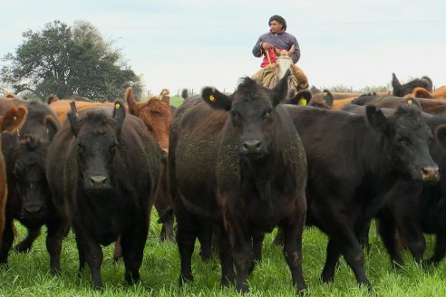 Día de Campo Estancia Don Pastor - Lucas Norte, Entre Ríos - Previa del Remate del 4 de Agosto 2023