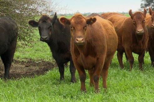 Día de Campo Estancia Don Pastor - Lucas Norte, Entre Ríos - Previa del Remate del 4 de Agosto 2023