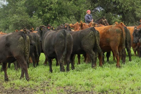 Día de Campo Estancia Don Pastor - Lucas Norte, Entre Ríos - Previa del Remate del 4 de Agosto 2023