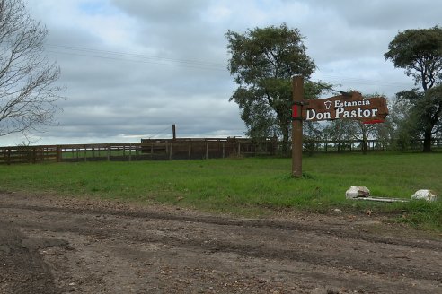 Día de Campo Estancia Don Pastor - Lucas Norte, Entre Ríos - Previa del Remate del 4 de Agosto 2023