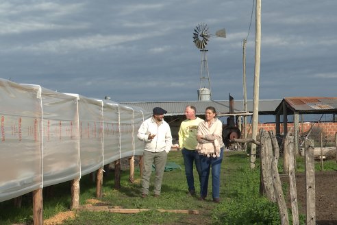 Visita a Tambo-Queseria Lacteos La Antonieta - Lucas Sur - Entre Ríos