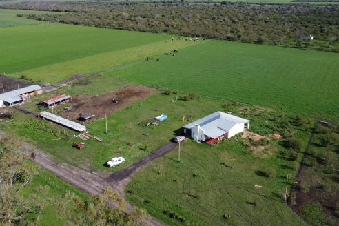 Visita a Tambo-Queseria Lacteos La Antonieta - Lucas Sur - Entre Ríos