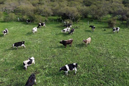 Visita a Tambo-Queseria Lacteos La Antonieta - Lucas Sur - Entre Ríos