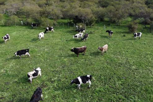 Visita a Tambo-Queseria Lacteos La Antonieta - Lucas Sur - Entre Ríos