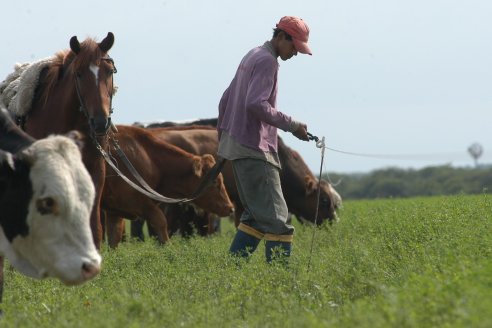 El manejo de la pastura solamente genera beneficios