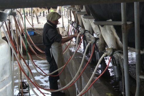 Mastellone Hermanos destaca el rol estratégico de los productores y tamberos dentro de la cadena láctea