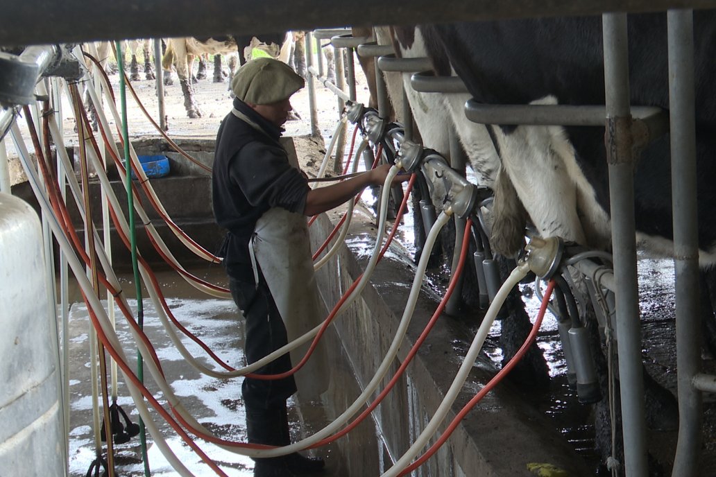 Mastellone Hnos. destaca el rol estratégico de los productores y tamberos