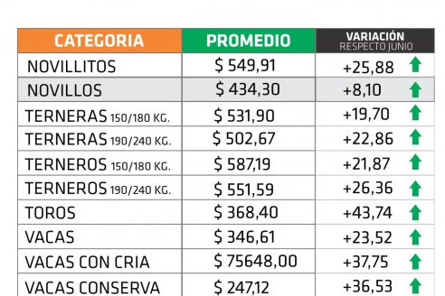 La hacienda cerró julio con un incremento de casi el 25%